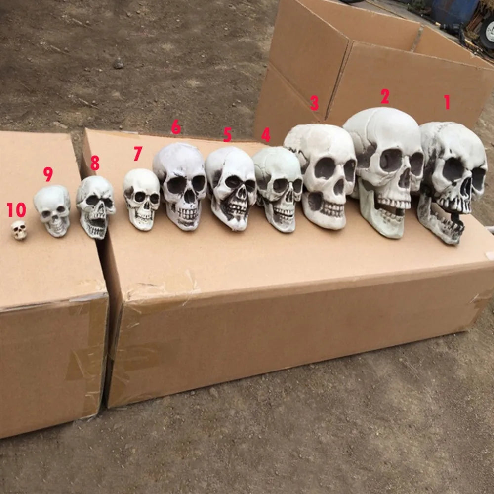 1Pcs Plastic Skull Head Figurine Statue Artificial Scary Bone Skeleton Decorative Sculpture for Bar Party Home Halloween Decor