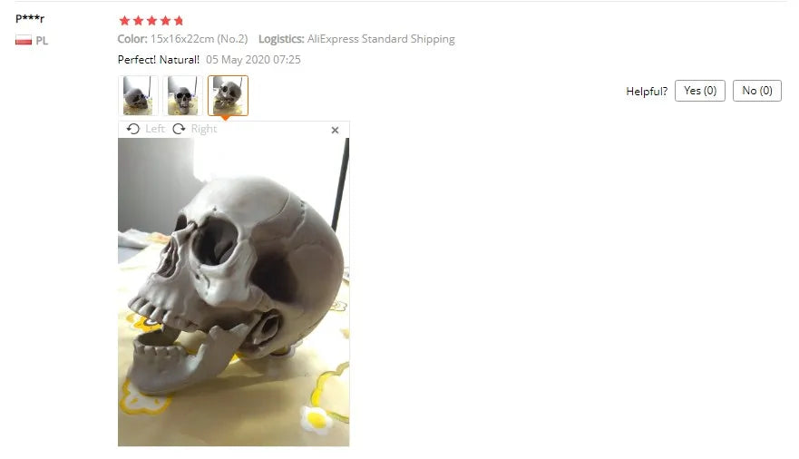 1Pcs Plastic Skull Head Figurine Statue Artificial Scary Bone Skeleton Decorative Sculpture for Bar Party Home Halloween Decor