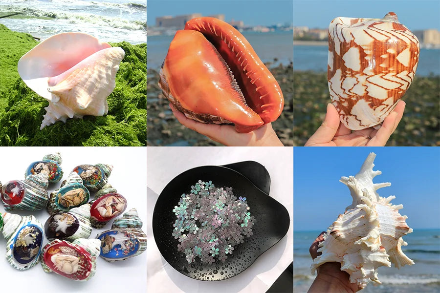 Handmade Nepal Silver Conch Shell Trumpet Indian Chank Tibetan Turquoise Coral Inlay Horn Trumpet Statue for Pooja Decorative