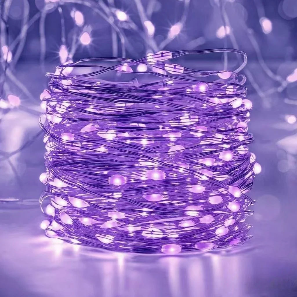 Battery Powered LED String Lights 10/20/30/50/100LED Copper Wire Lights for Camping Wedding Flowers Christmas Decoration