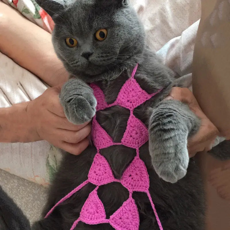 Funny Cat Clothes Cosplay Cat Bikini Sexy Pet Underwear Cat Bra Halloween Dress Pet Bikini Clothing Festival Party Clothing