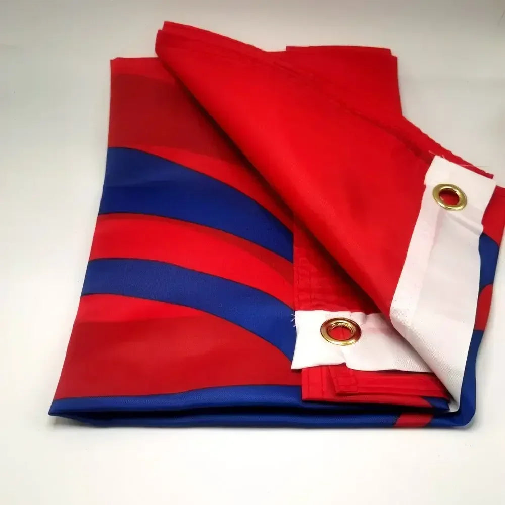 Sikh Flag 90x150cm Indian Sikhism Religion Banner Outdoor Polyester Decor