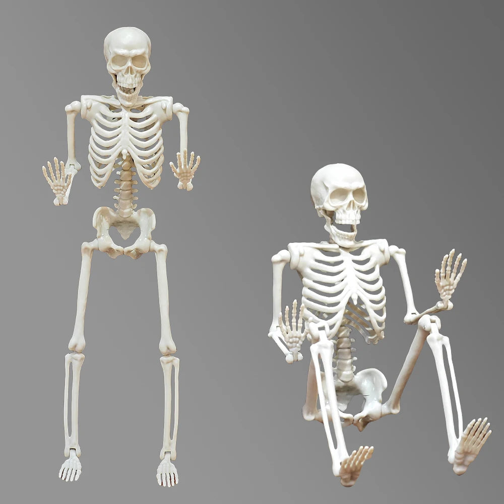 2 pcs Halloween Skeleton Decoration Plastic Vivid Design Joint movement effect 46cm Home Ornament Bone Decor Movable Joints
