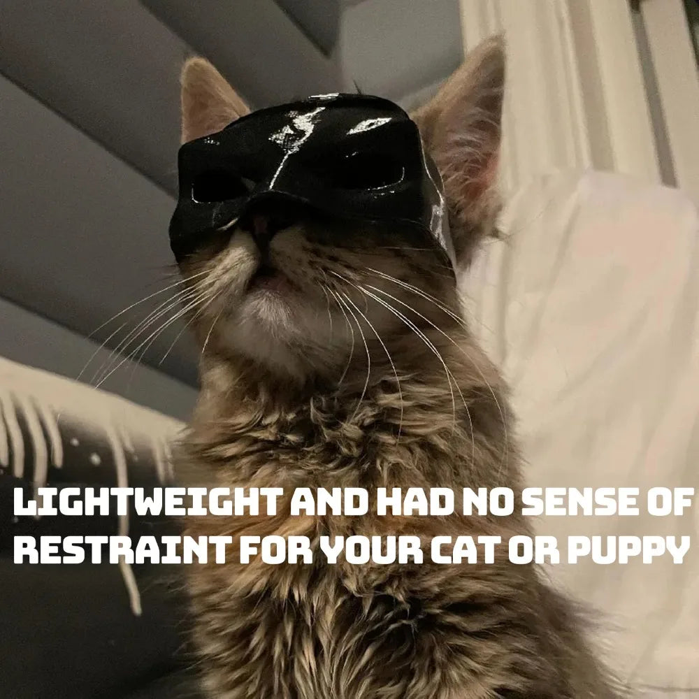 Bat Cat Avenger Mask Black Cute Superhero Bat Cat Halloween Cosplay Mask Pet Halloween Dress Up Costume Cats Pet Supplies XS-L