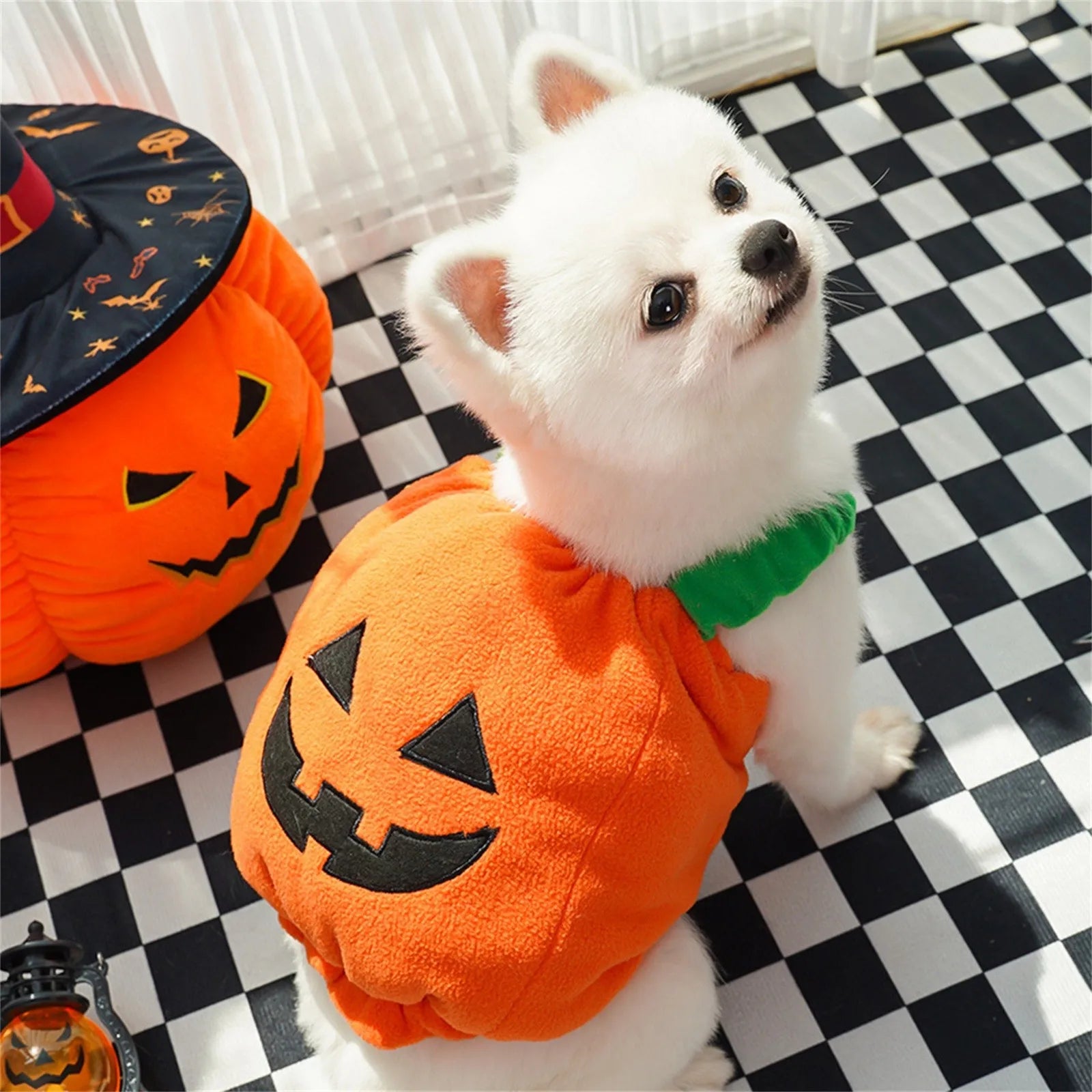 Halloween Dog Pumpkin Clothes Transformation Costume Cosplay Funny Cat Teddy Dog Special Events Apparel Comical Outfits