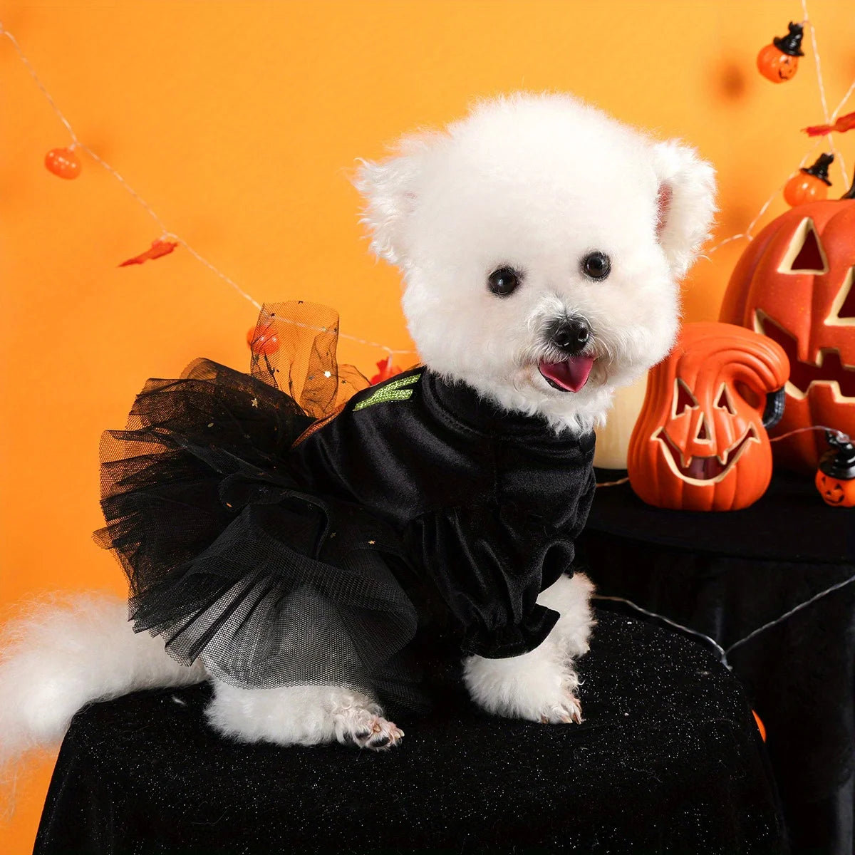 Hey Boo Halloween Dress Pet Clothes Dog Cat Black Mesh Dress Handsome Funny Color Hey Boo Open Button Wedding Dress