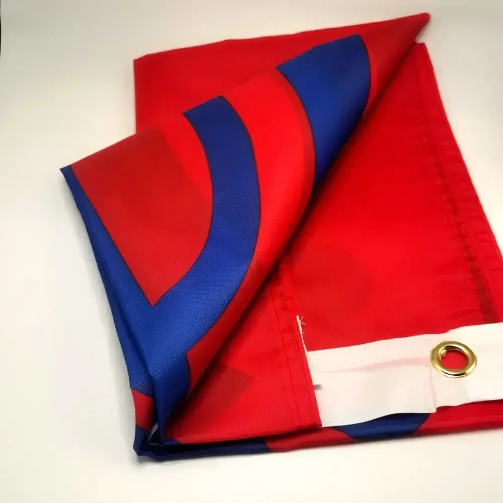 Sikh Flag 90x150cm Indian Sikhism Religion Banner Outdoor Polyester Decor