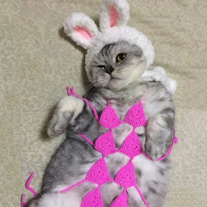 Funny Cat Clothes Cosplay Cat Bikini Sexy Pet Underwear Cat Bra Halloween Dress Pet Bikini Clothing Festival Party Clothing