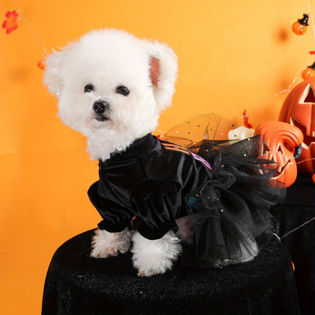 Hey Boo Halloween Dress Pet Clothes Dog Cat Black Mesh Dress Handsome Funny Color Hey Boo Open Button Wedding Dress