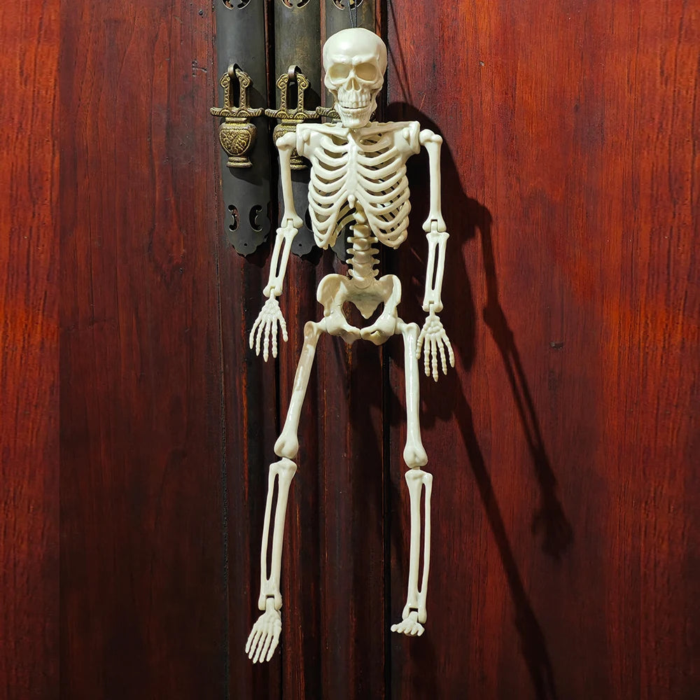 2 pcs Halloween Skeleton Decoration Plastic Vivid Design Joint movement effect 46cm Home Ornament Bone Decor Movable Joints