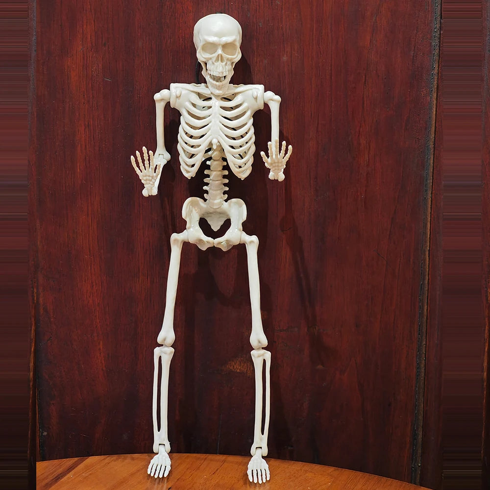 2 pcs Halloween Skeleton Decoration Plastic Vivid Design Joint movement effect 46cm Home Ornament Bone Decor Movable Joints