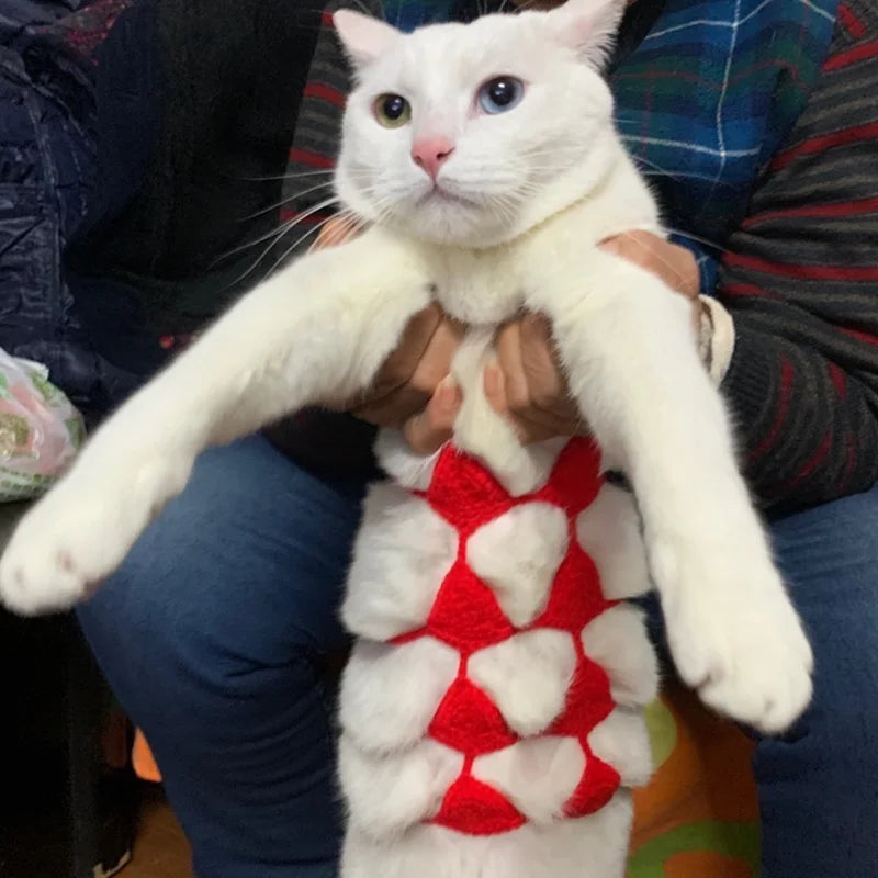 Funny Cat Clothes Cosplay Cat Bikini Sexy Pet Underwear Cat Bra Halloween Dress Pet Bikini Clothing Festival Party Clothing